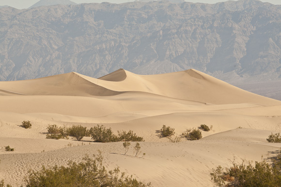 sand dunes at stovepipe wells